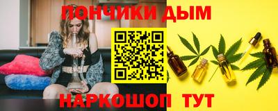 дмт Можга