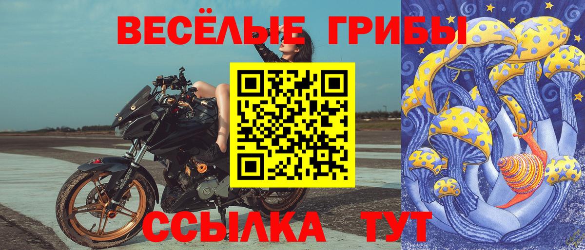 где можно купить   Вход с VPN  Стрежевой  Галлюциногенные грибы MAGIC MUSHROOMS 